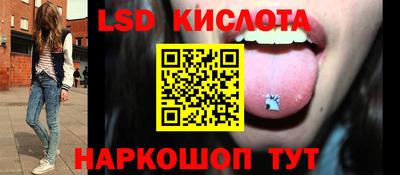 шишки Новозыбков