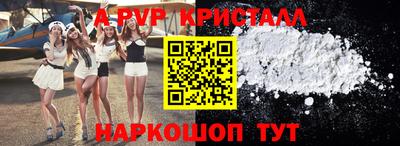 шишки Новозыбков