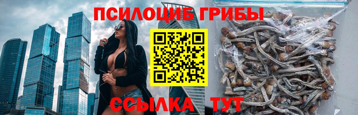 Галлюциногенные грибы мицелий Берёзовский